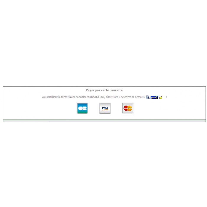 Image Result For Carte De Paiement Wikipdia Image Result For Carte De Paiement Wikipdia